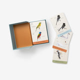 Sibley Backyard Birding Flashcards, Revised and Updated: 100 Common Birds of Eastern and Western North America