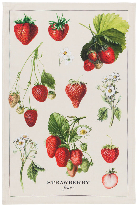 Now Designs by Danica - Dishtowel | Vintage Strawberries