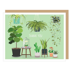 Apartment 2 Cards Boxed Cards | Thank You - Potted Houseplant
