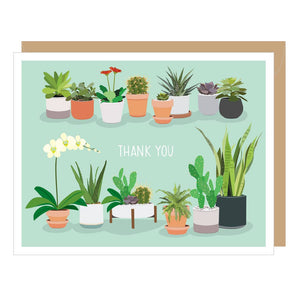 Apartment 2 Cards Boxed Cards | Thank You - Succulents