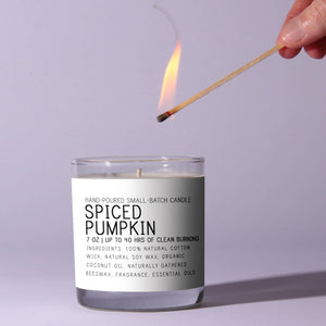 Just Bee Cosmetics 7oz Candle - Spiced Pumpkin