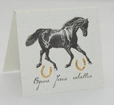 Semaki & Bird Gold Earrings - Horseshoe